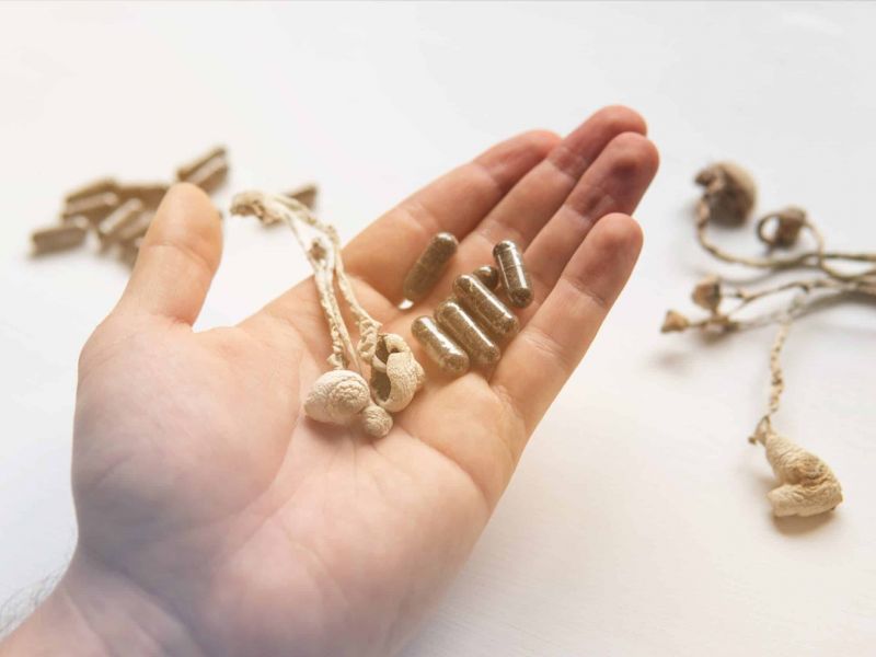 microdosing mushrooms