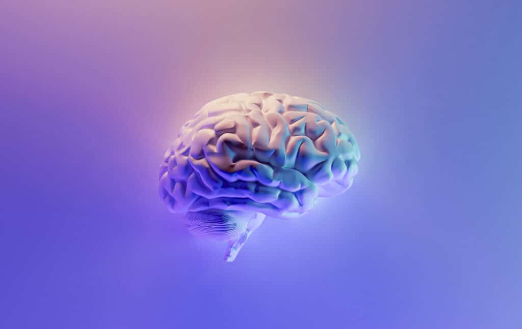 section image 1b scaled 1