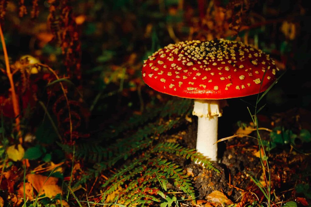 james wainscoat N xRJNMFso unsplash 3