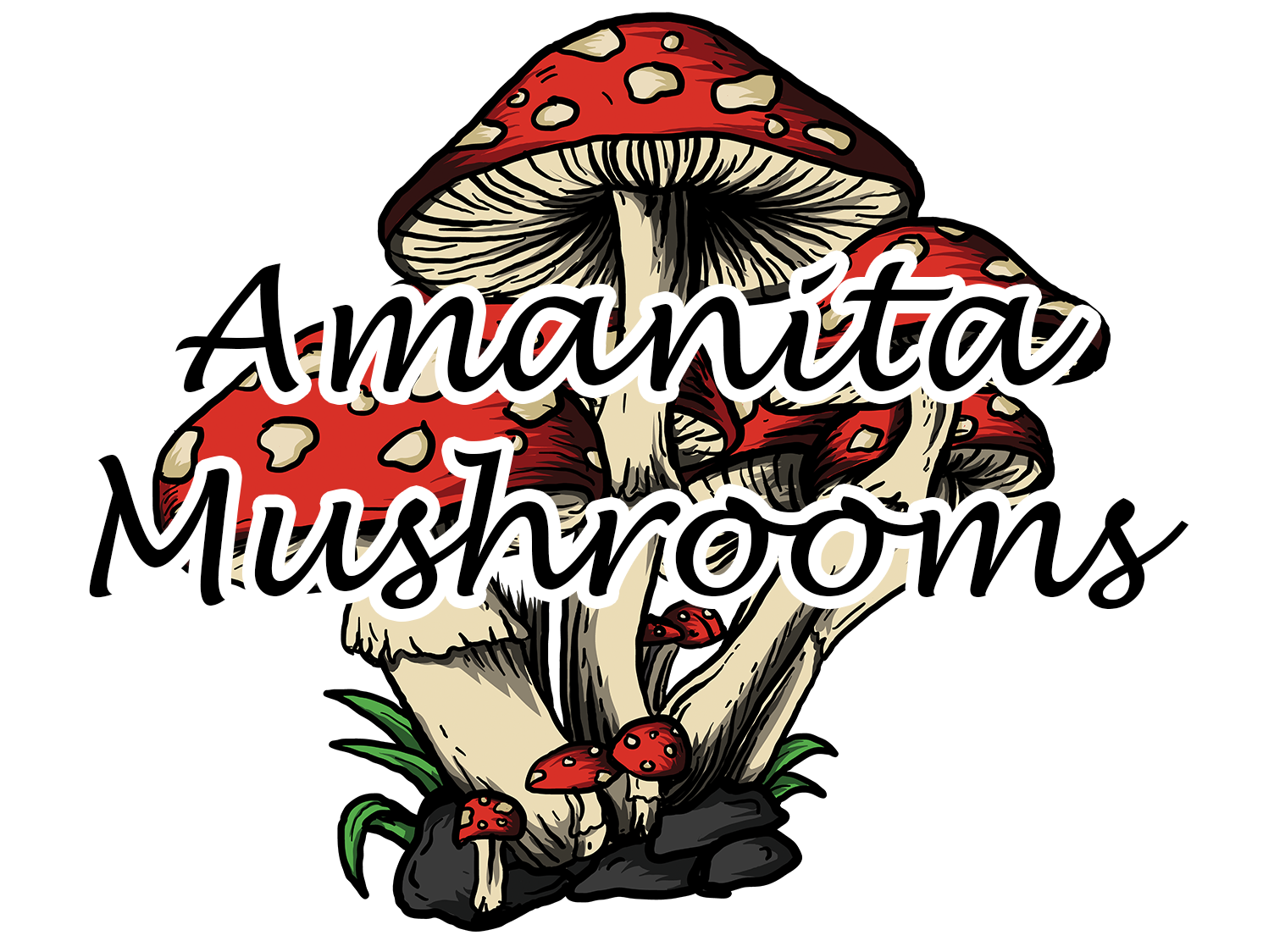 amanita mushrooms with font logo