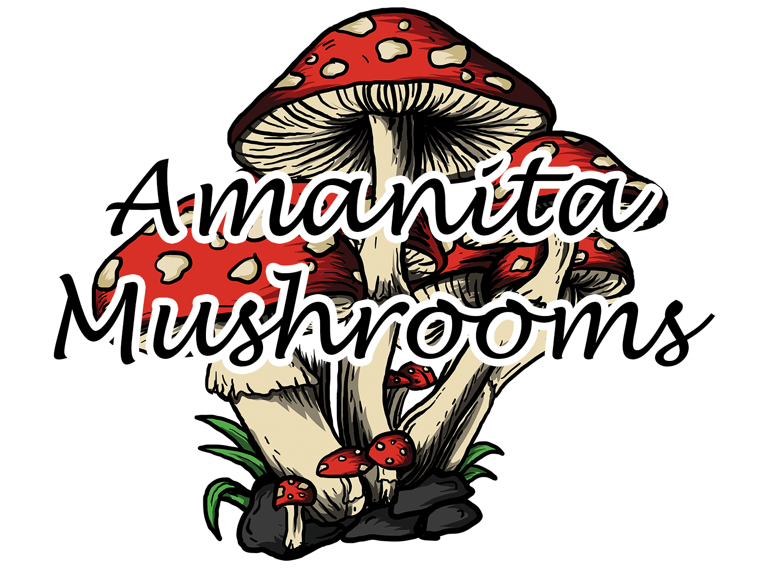 amanita mushrooms with font logo