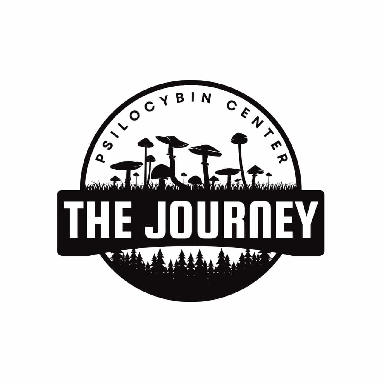 thumbnail The Journey 3