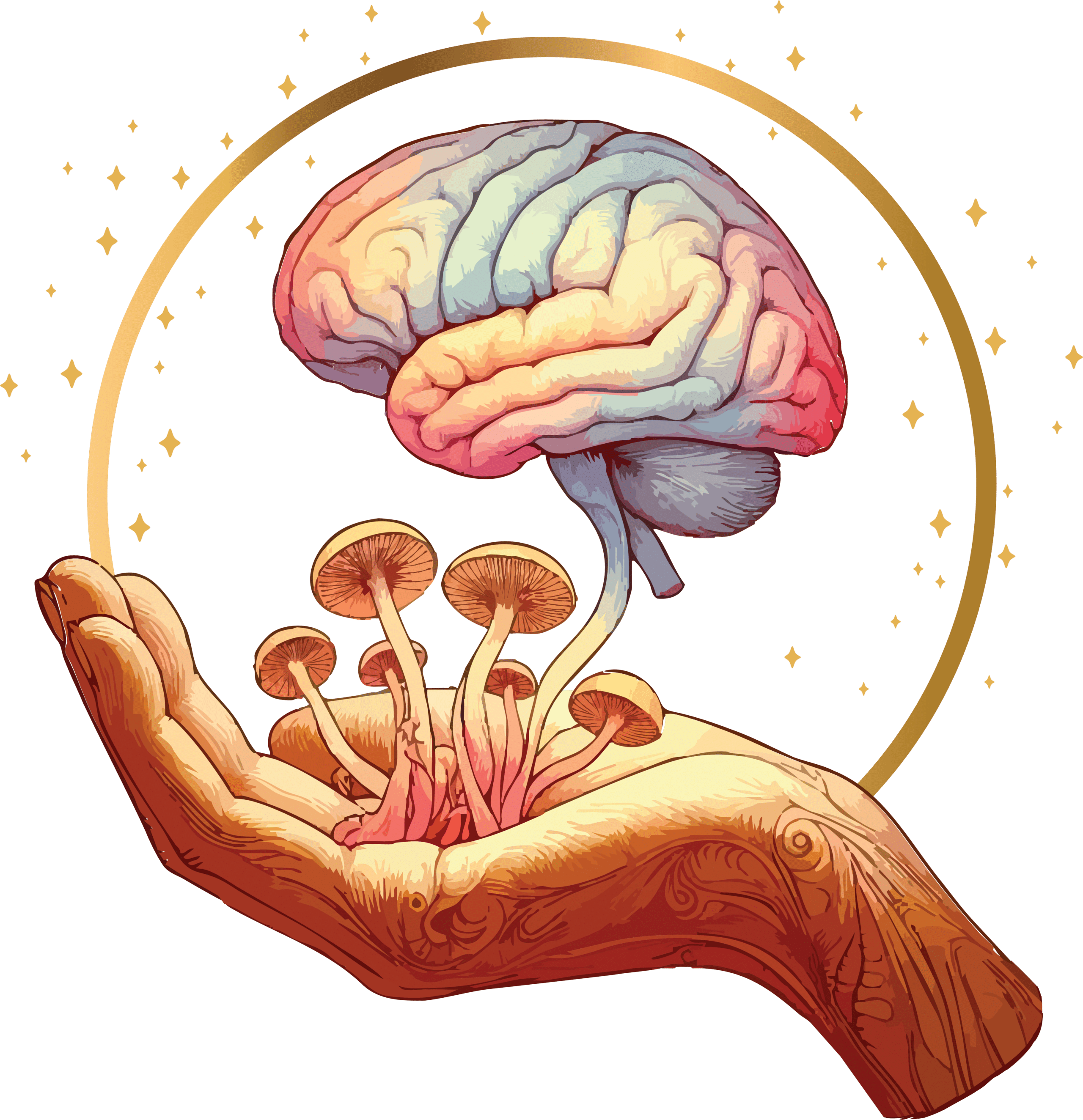 Community of Compassion Logo