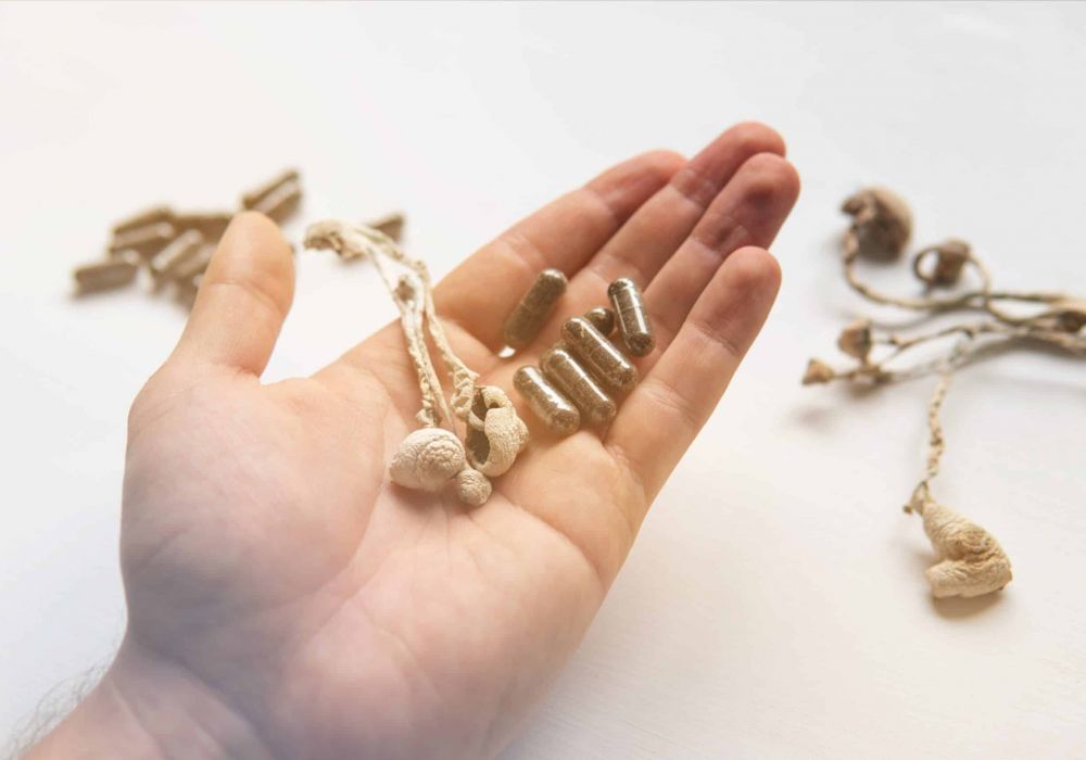 microdosing mushrooms