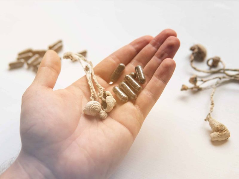 microdosing mushrooms
